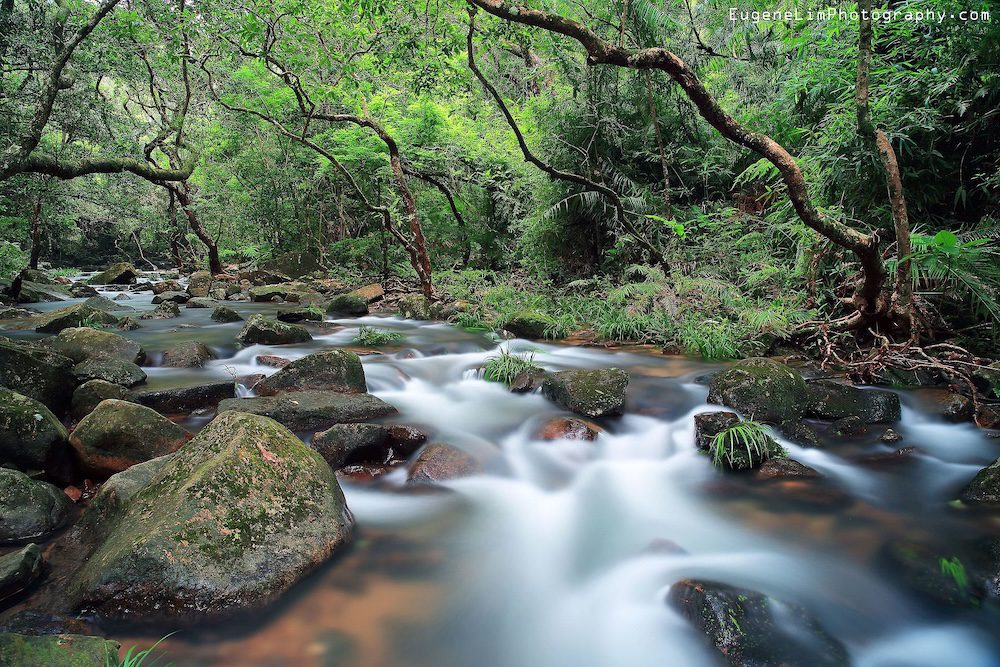 大埔滘自然護理區